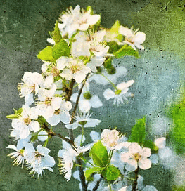 Floral