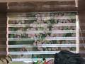 curtainimg48